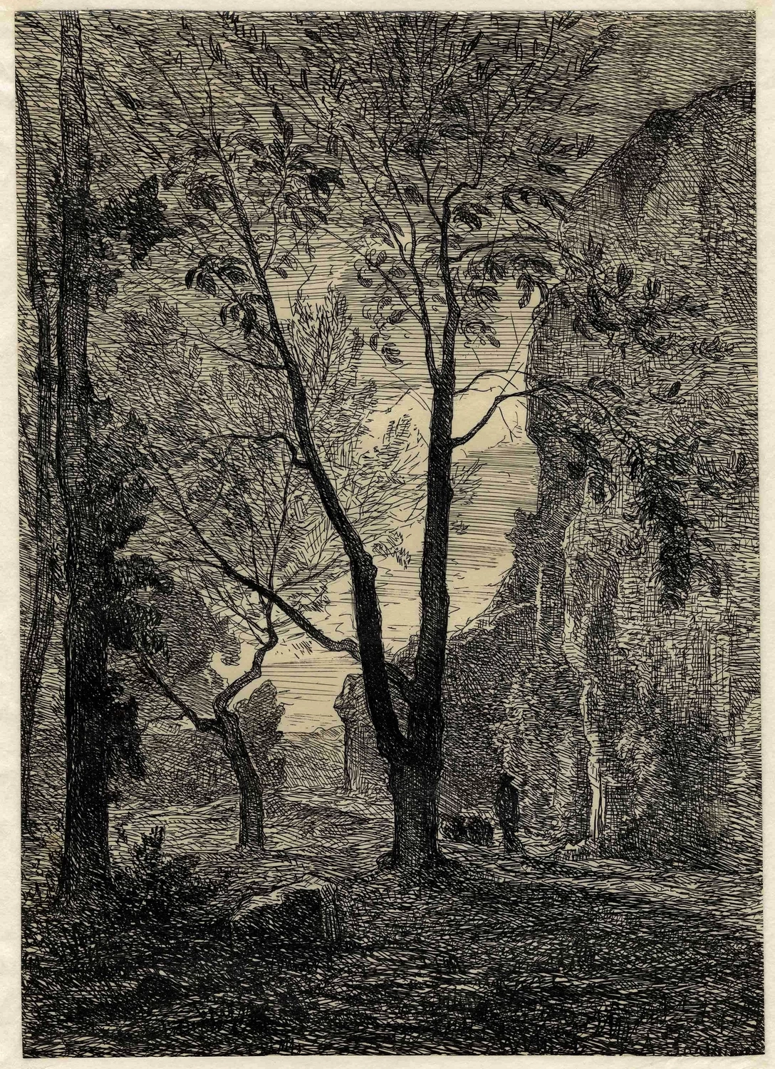 Il sentiero ai piedi delle rocce, 1863 - Musée d’Art et d’Histoire, Cabinet d’arts graphiques, Genève